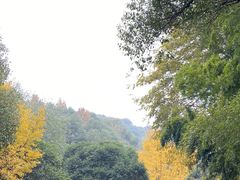 -岳麓山风景名胜区