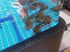 -亚龙湾希尔顿自助餐厅·海鲜·烧烤·沙滩BBQ·现场乐队