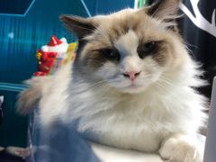 -零纪元VR体验馆·桌游(黄浦店)