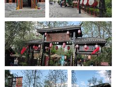 -合肥滨湖国家森林公园