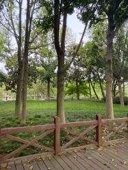 -爱你宝贝儿童摄影(西湖云端店)