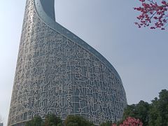 -天鹅湖体育公园