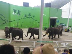 -大连森林动物园