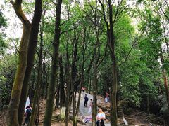 -火炉山森林公园