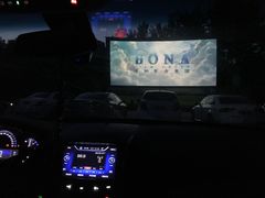 -枫花园汽车电影院(朝阳公园店)