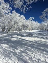 -大秃顶子山