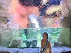 -沈阳海洋探索中心