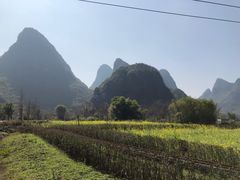 -广悦华阳朔河畔度假酒店(十里画廊遇龙河店)