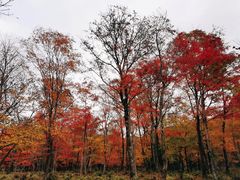 -庆岭迎宾园正宗活鱼馆