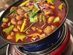 湘味肥肠火锅-湘肠香火锅店(团结湖店)