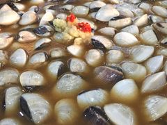 -顺德哥卜卜贝(旗舰店)