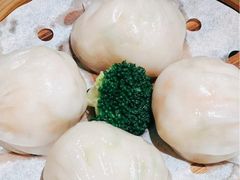 -南海渔村(珠江新城店)