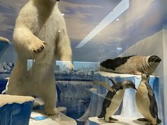 -国家自然博物馆