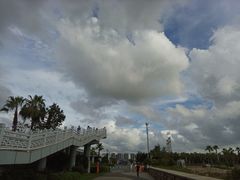 -宝安西湾红树林湿地公园