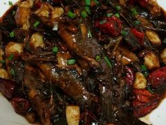 android_upload_pic-三强鸽子(胜利路店)