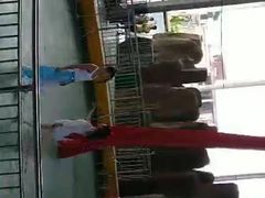 -泉州海丝野生动物世界