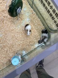 -meland亲子乐园·派对·研学(淄博万象汇店)