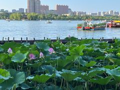 -济南大明湖景区