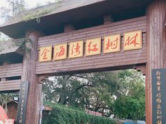 -北海金海湾红树林生态旅游区