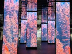 -中国湿地博物馆