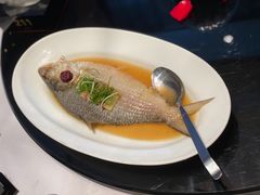 长江鲥鱼-明州小宴(文化广场店)