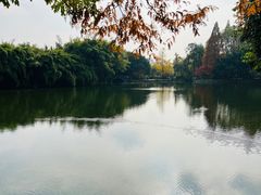 -棠湖公园