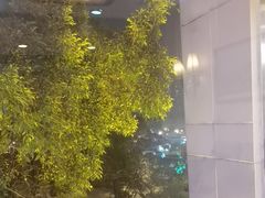 -东江海鲜酒家(艺都分店)