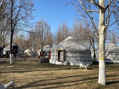 -九十九顶毡房(阜石路店)