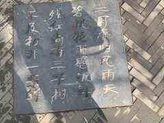 -桃花堤公园