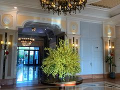 -平湖九龙山庄园圣马可酒店