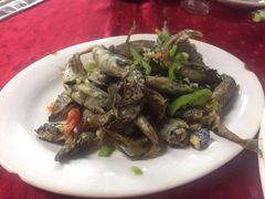 -蛇口康乐快餐鱼仔档(翠苑小区店)