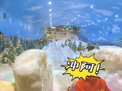-世界之窗阿尔卑斯冰雪世界