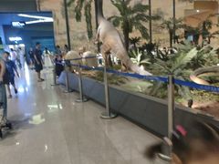 -湖南省地质博物馆