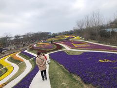 -南通洲际绿博园