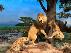 -国家自然博物馆