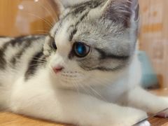 -Pets First伊珊娜洗护·精致美容·家庭式寄养(新会路店)