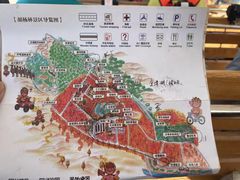 -金塔沙漠胡杨林景区