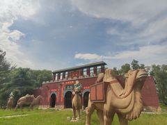 -东方巨龟苑景区