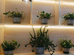 -望江门小龙虾·烧烤(九堡店)
