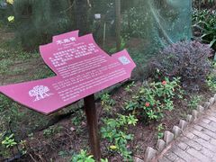 -北海金海湾红树林生态旅游区