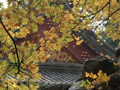 -香山公园
