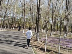 -东郊湿地公园