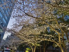 -玛格萝妮比萨屋(四平店)