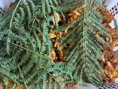 -双喜农庄·菌香园(安居家园店)