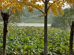 -艾溪湖湿地公园