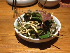 折耳根-云海肴·汽锅鸡·云南菜(天津国金汇店)