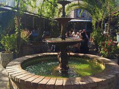 -The Grounds of Alexandria