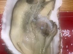 -蚝英雄鲜蚝自助专门店(长楹天街直营店)