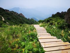 -白草畔自然风景区