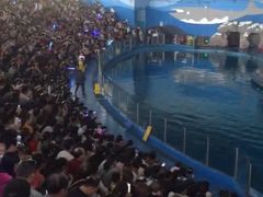 -苏州海洋馆